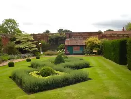 Give hedges a last trim