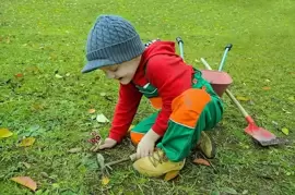 Start a school garden