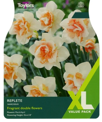 20 P/P X 10 NARCISSUS REPLETE 10-12