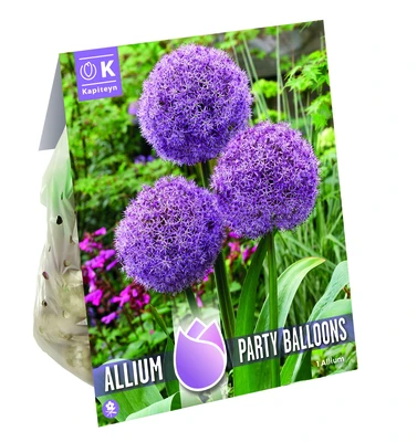 ALLIUM PARTY BALLOONS