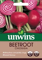 Beetroot (Round) Chioggia - image 1