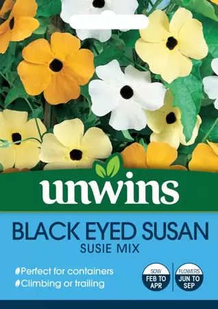 Black Eyed Susan Susie Mix - image 1