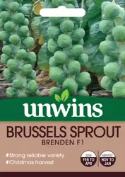 Brussels Sprout Brenden F1 - image 1