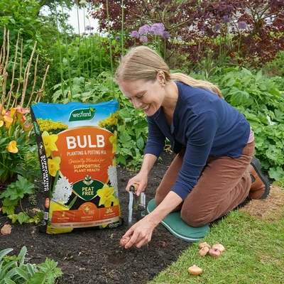 Bulb Planting & Potting mix