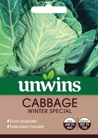 Cabbage Winter Special - image 1