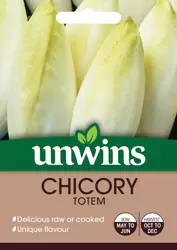 Chicory Totem - image 1