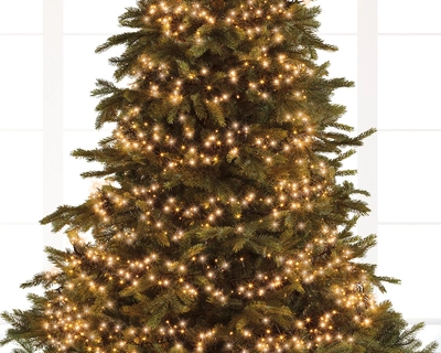 Cluster Twinkle 1512 LED String Lights Green/Classic Warm L1350cm - image 3