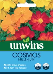Cosmos Millennium