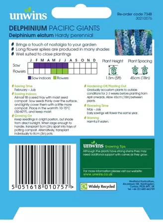 Delphinium Pacific Giants - image 2
