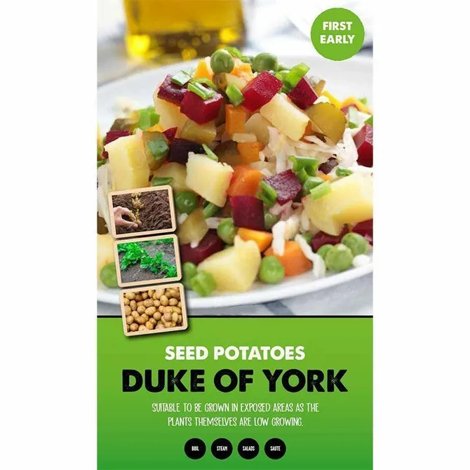 DUKE OF YORK 5kg