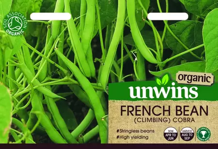 French Bean (Climbing) Cobra (Organic) - image 1