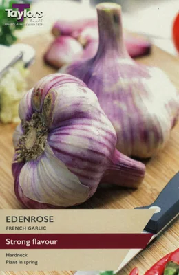 French Garlic Eden Rose