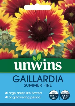 Gaillardia Summer Fire - image 1