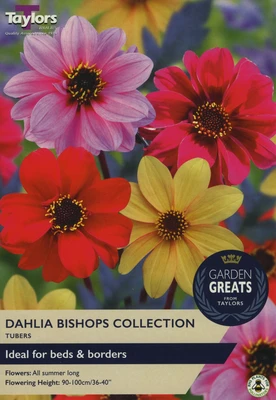 Garden Greats Dahlia Bishops Collection