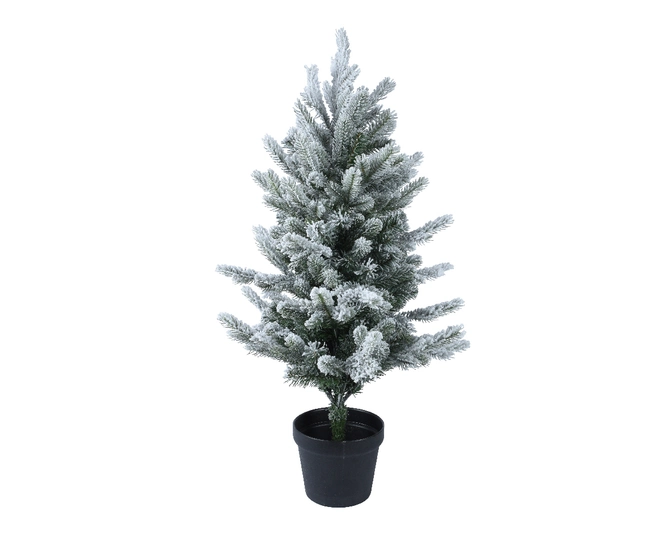 Grandis mini tree in pot H60cm snowy