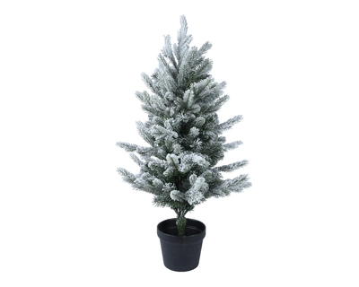 Grandis mini tree in pot H60cm snowy