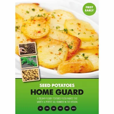 Home Guard First Early Seed Potatoes 2kg