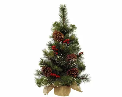 Ipswich mini tree snowy berries- pinecones indoor dia40.00-H60.00cm