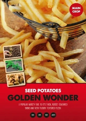MAIN CROP GOLDEN WONDER 5 KG BAGS