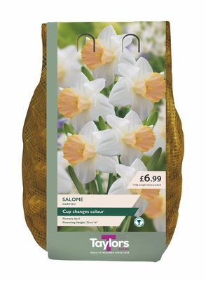 NARCISSUS SALOME 2kg