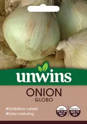 Onion Globo - image 1