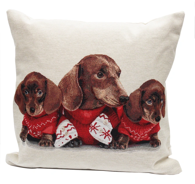 Peggy Wilkins Complete Cushion Cosy Pets