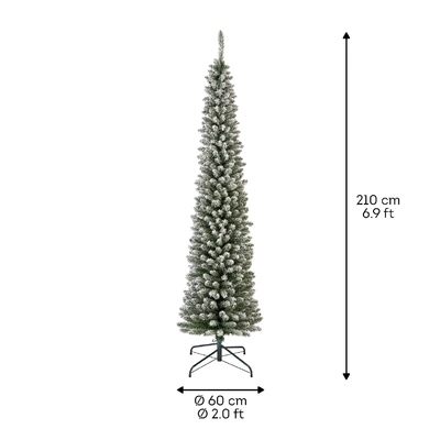 Pencil pine snowy 210cm - image 4