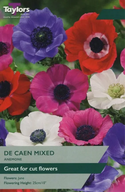 Pre packs Bee Friendly Anemone de Caen Mixed 4-5