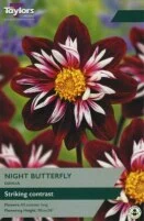 Pre Packs Coll & Anemone Dahlia Night Butterfly