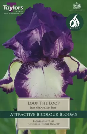 Pre Packs Cottage Garden Iris Loop the Loop I