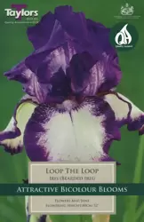 Pre Packs Cottage Garden Iris Loop the Loop I