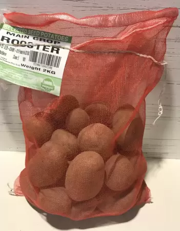 Rooster Seed Potatoes 2kg