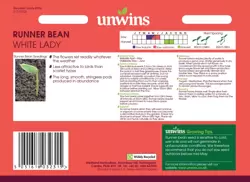 Runner Bean White Lady - image 2