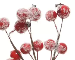 Spray foam snow berries Pack of 3  - image 2