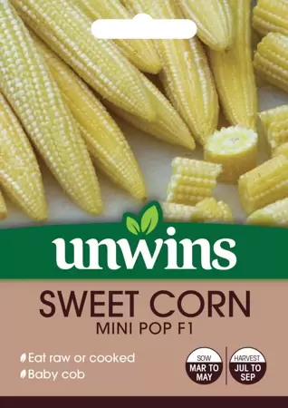 Sweet Corn Mini Pop F1 - image 1