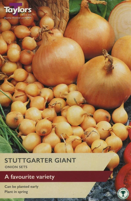 Value Onion Stuttgarter Giant