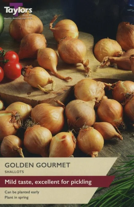 Value Shallot Golden Gourmet