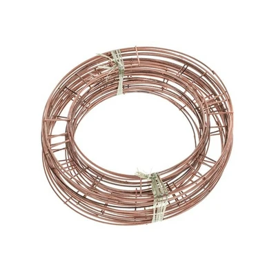 Wire Flat Ring 12In